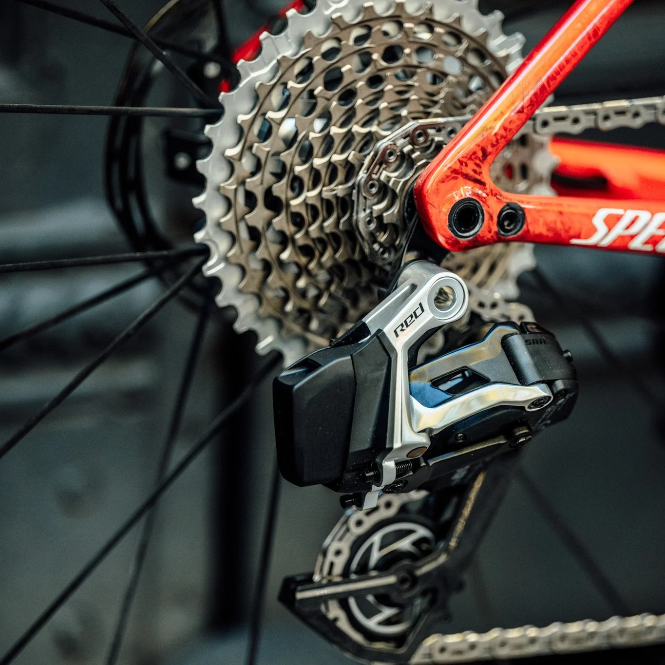 spe-485146278_1076814114480634_1612703703256017718_n